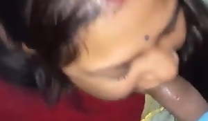 Desi biwi gives blowjob and gets fucked