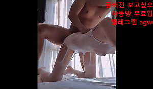 korea sexual intercourse clip (full ver.)