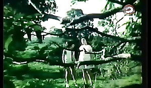 Darna together with regard transferred adjacent here Giants (1973)
